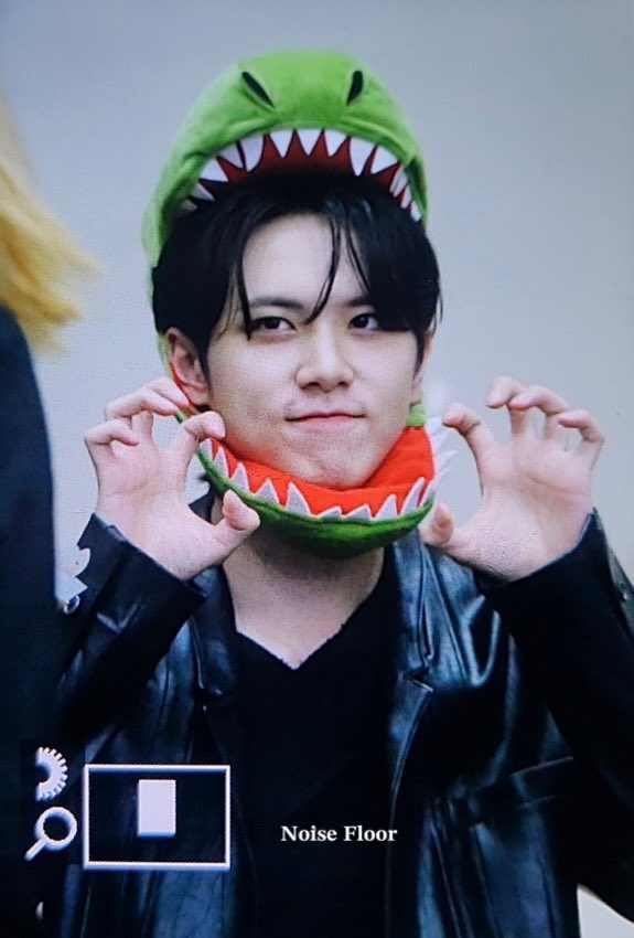 noisefloor73's tweet photo. 221023 🦖🦖

#위아이 #wei #김동한 #동한 #KimDonghan https://t.co/8C02C44gkv