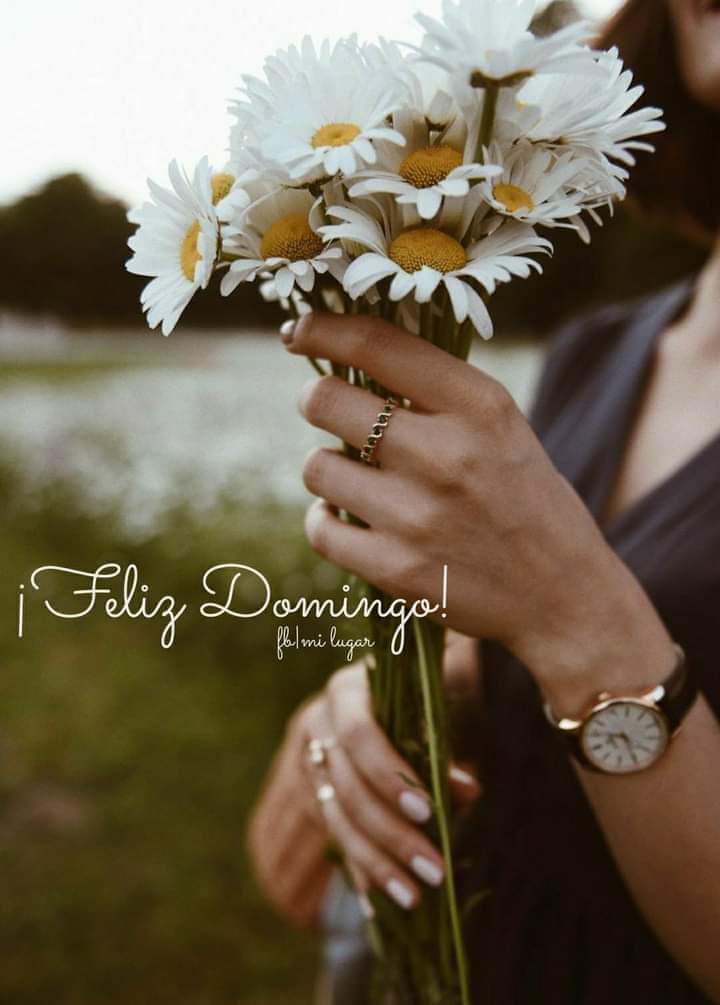 begemora1's tweet photo. Buenos días para todos 🌻🌻 https://t.co/Gd7cEPtMK9