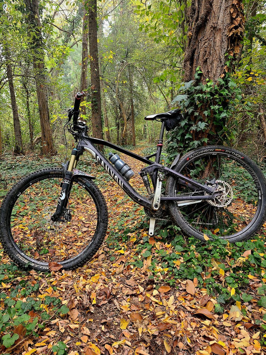 lilloriccio's tweet photo. #mtb #autunno https://t.co/sBP0TskkzQ
