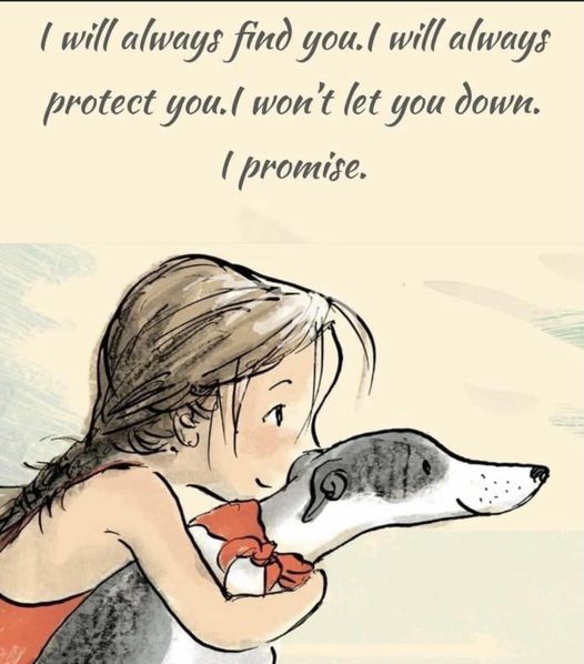 Promise
#beagle #beagles #NationalTightEndsDay #sundayvibes