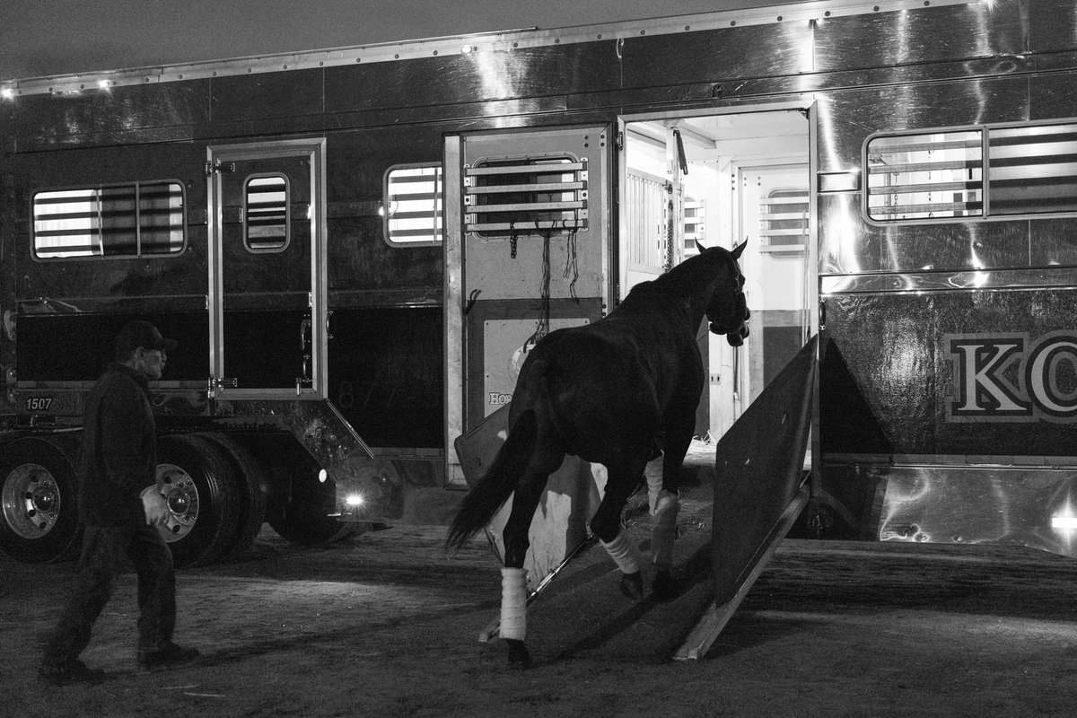 sadlerracing's tweet photo. The champ 🔥👑 leaving early this morning. Inbound ✈️to @keeneland @BreedersCup @stephrosa3 @KostaHronis @NathalieDarley @JuanLeyva1984 @Hronis_Racing @woodfordracing @westpointtbred @SienaFarmKY @MoreSummerWind @johnwsadler Thank you @HorseKc @NancyDollase 
 📸@katejonesstudio https://t.co/L1xHdltAvz