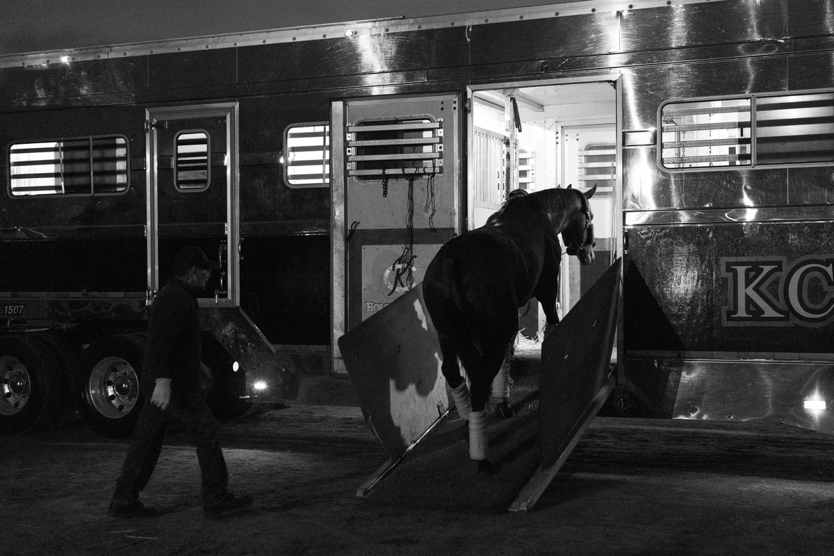 sadlerracing's tweet photo. The champ 🔥👑 leaving early this morning. Inbound ✈️to @keeneland @BreedersCup @stephrosa3 @KostaHronis @NathalieDarley @JuanLeyva1984 @Hronis_Racing @woodfordracing @westpointtbred @SienaFarmKY @MoreSummerWind @johnwsadler Thank you @HorseKc @NancyDollase 
 📸@katejonesstudio https://t.co/L1xHdltAvz
