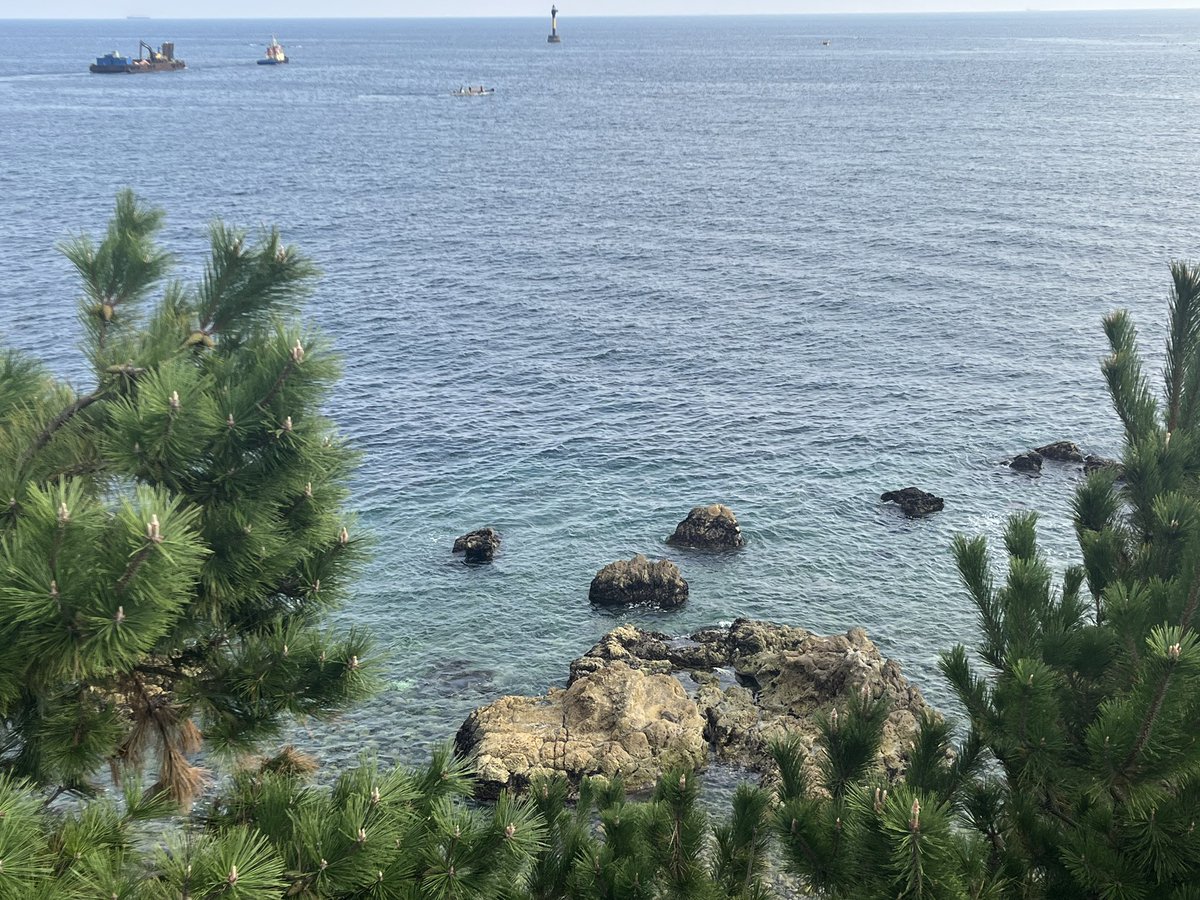 JIALUN (@jiialun) on Twitter photo 