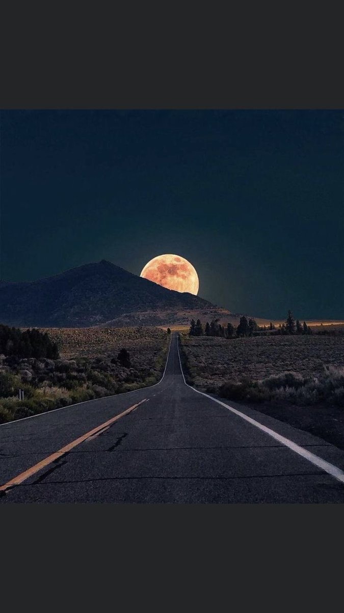 EjazGujjar55's tweet photo. Good night everyone https://t.co/5pyD7TEuCS