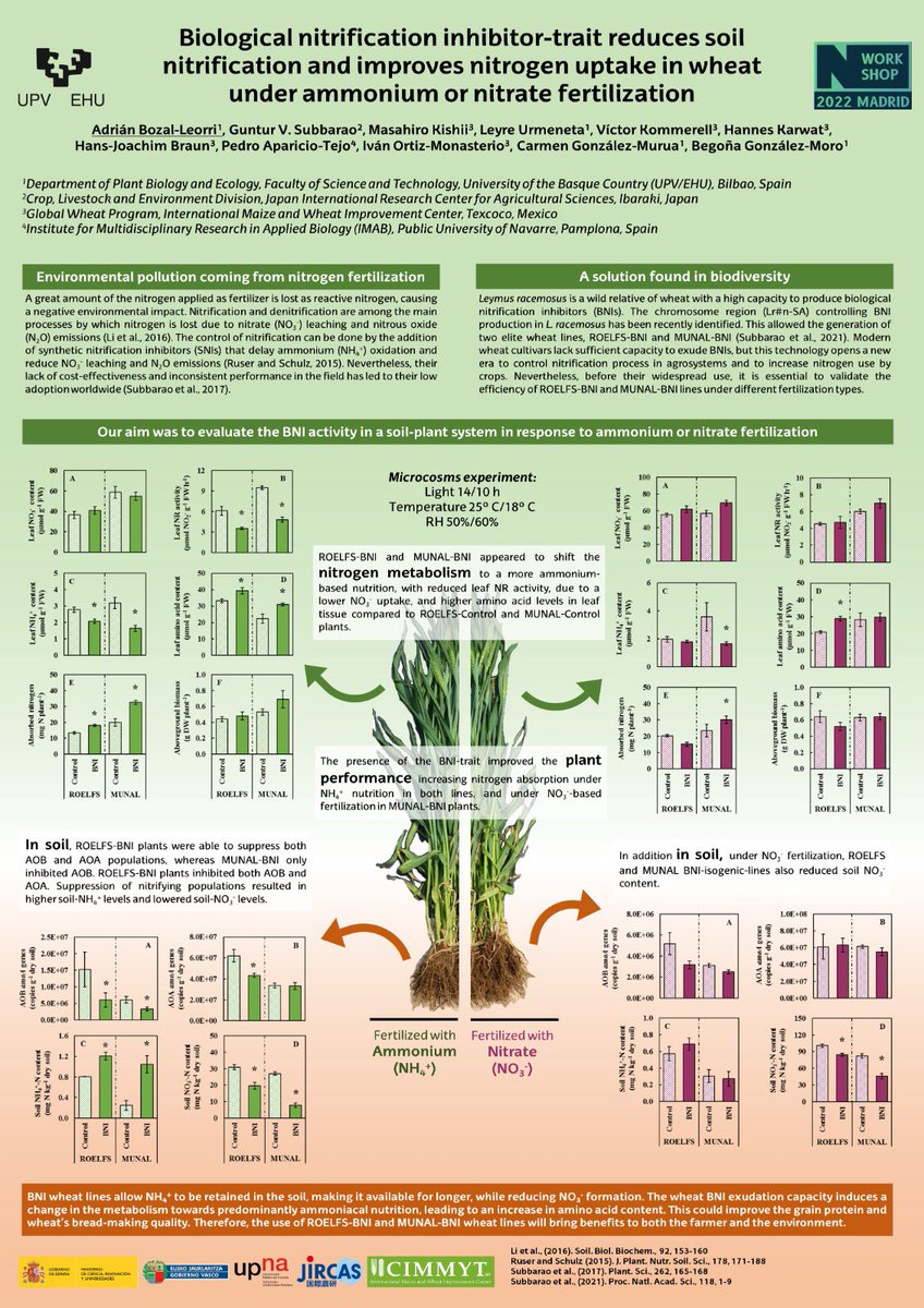During this next week I will take part in <a href="/NWorkshop2022/">Nitrogen Workshop 2022</a> 👨🏻‍🔬 I present the latest results of our research with elite wheat varieties harbouring biological nitrification inhibition (BNI) capacity 🌾