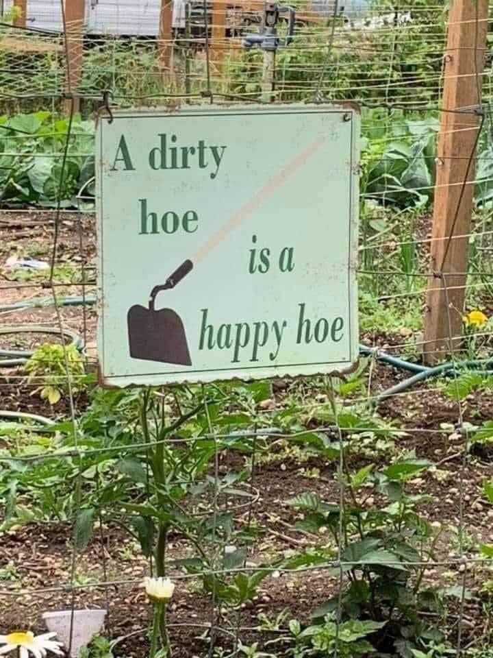 ianabrhm's tweet image. And that’s on periodt.