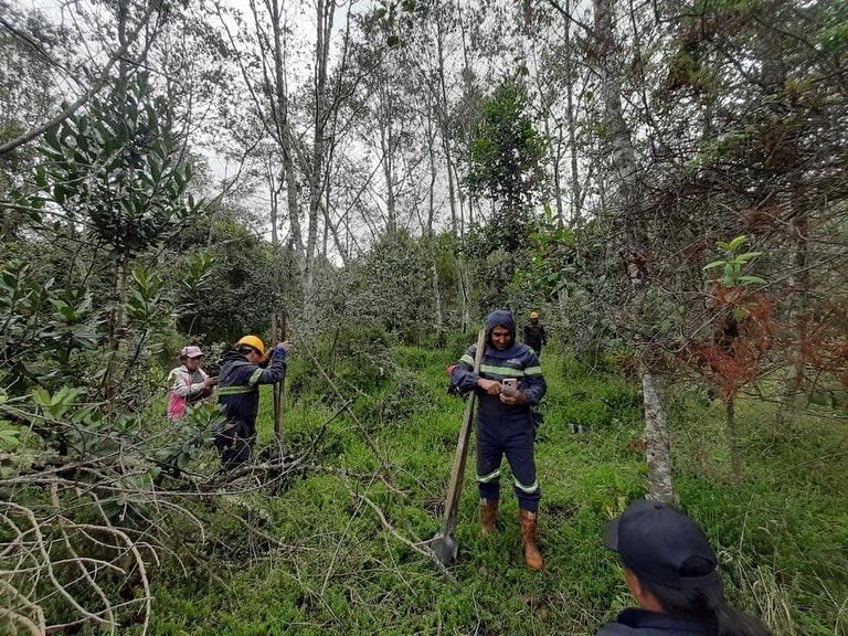AlcdGuacheta's tweet photo. #FuentesDeVida Realizamos apoyo al Acueducto No 2, en la jornada de siembra de árboles para mejorar los servicios ecosistémicos que brinda el área donde se capta el agua para el acueducto #2, con el apoyo de la empresa privada Promincarg, la CAR y la CCI. https://t.co/xl53yA6v5r