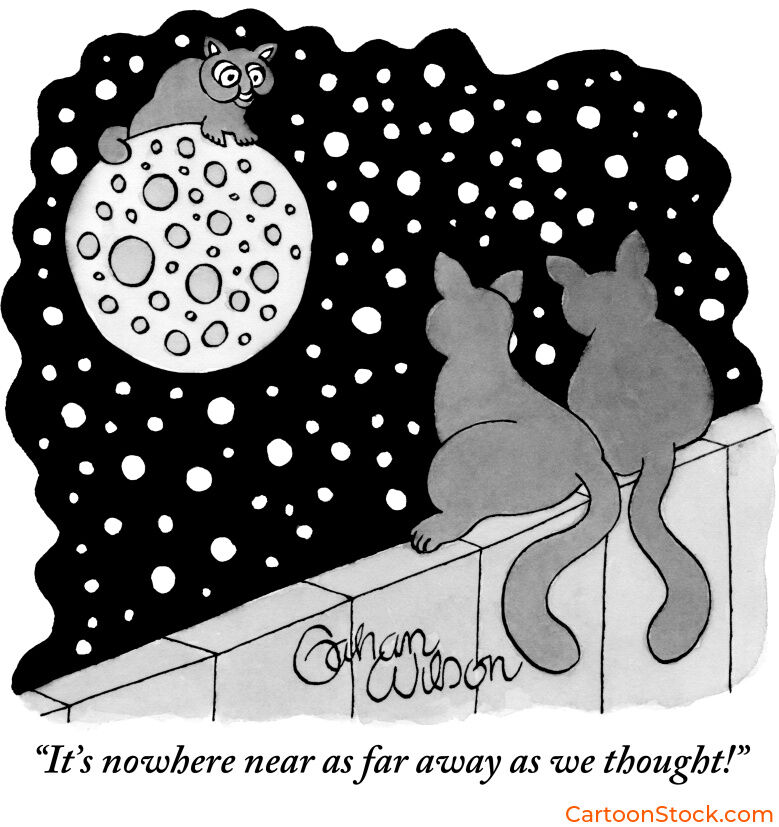 CartoonStock's tweet photo. Out of this world!
Cartoon by Gahan Wilson
#Cats #spaceflight #space #nasa #spacex #spaceexploratio #rocket #rocketlaunch #astronaut #newyorkercartoons #cartoons #funny #tnycartoons #newyorkercartoonist #gagcartoons #cartooncollections #cartoonstock https://t.co/E5uhPFvMIY