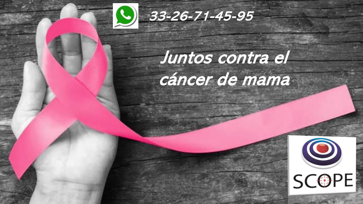 MKT_SCOPE's tweet photo. 👌🎯🤝🌷

#MesRosa , #Jalisco , #marketingdigital , #clientes , #estrategias https://t.co/GG6OnMlZO0