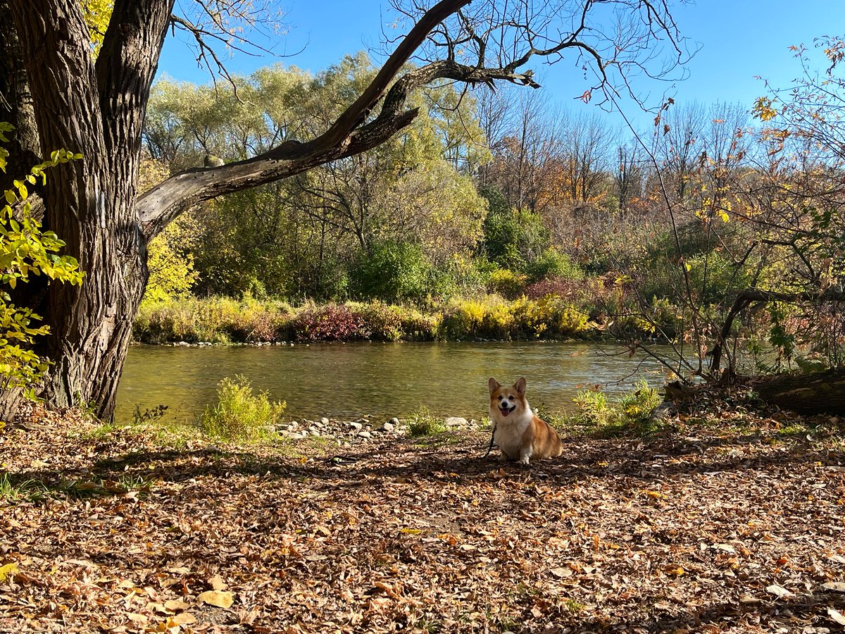 Meghan Huras tweet media