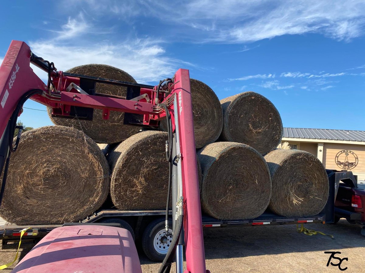 StewartHorses's tweet photo. Hauling hay is fun an all, until you lose your balance strapping the top rolls and have to jump off! 🤬
Going to take a minute to heal up! 
Probably cracked the foot again, it happens! 

 #7ScRanch #equine #bovine
 #horses #cow #texas #farmlife 
#ranchlife #justranchin #stayhandy https://t.co/CLlNL3roRx