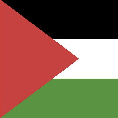 RealPalestine0's tweet photo. State of Palestine https://t.co/K0ehhXN4rw