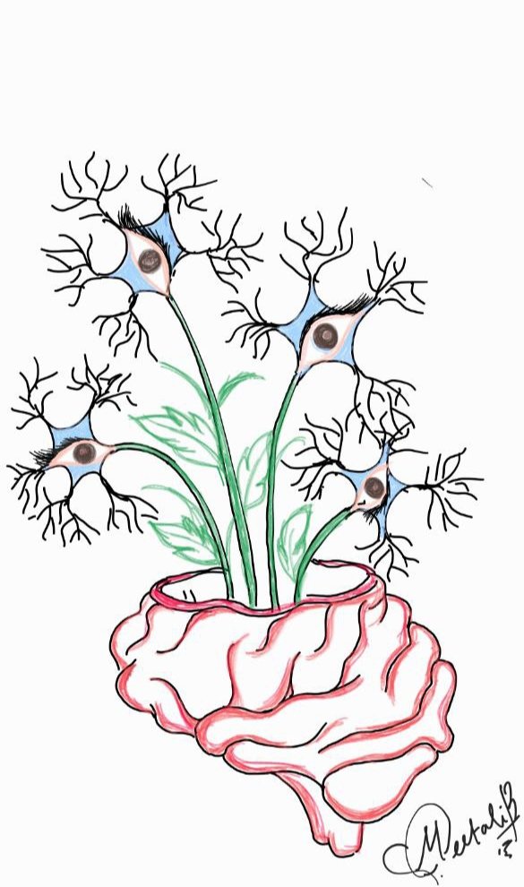 Meetali Barhate tweet media