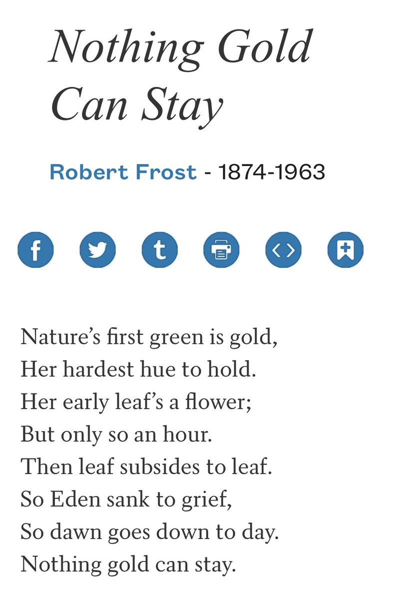 Autumn is such a special season 🍂 This time of year always reminds me of 1st year at @QUBelfast & walking along the golden-leaf-strewn, tree-lined Elmwood Avenue in Belfast - all change & the possibilities for the future - nicely captured by Robert Frost poets.org/poem/nothing-g…