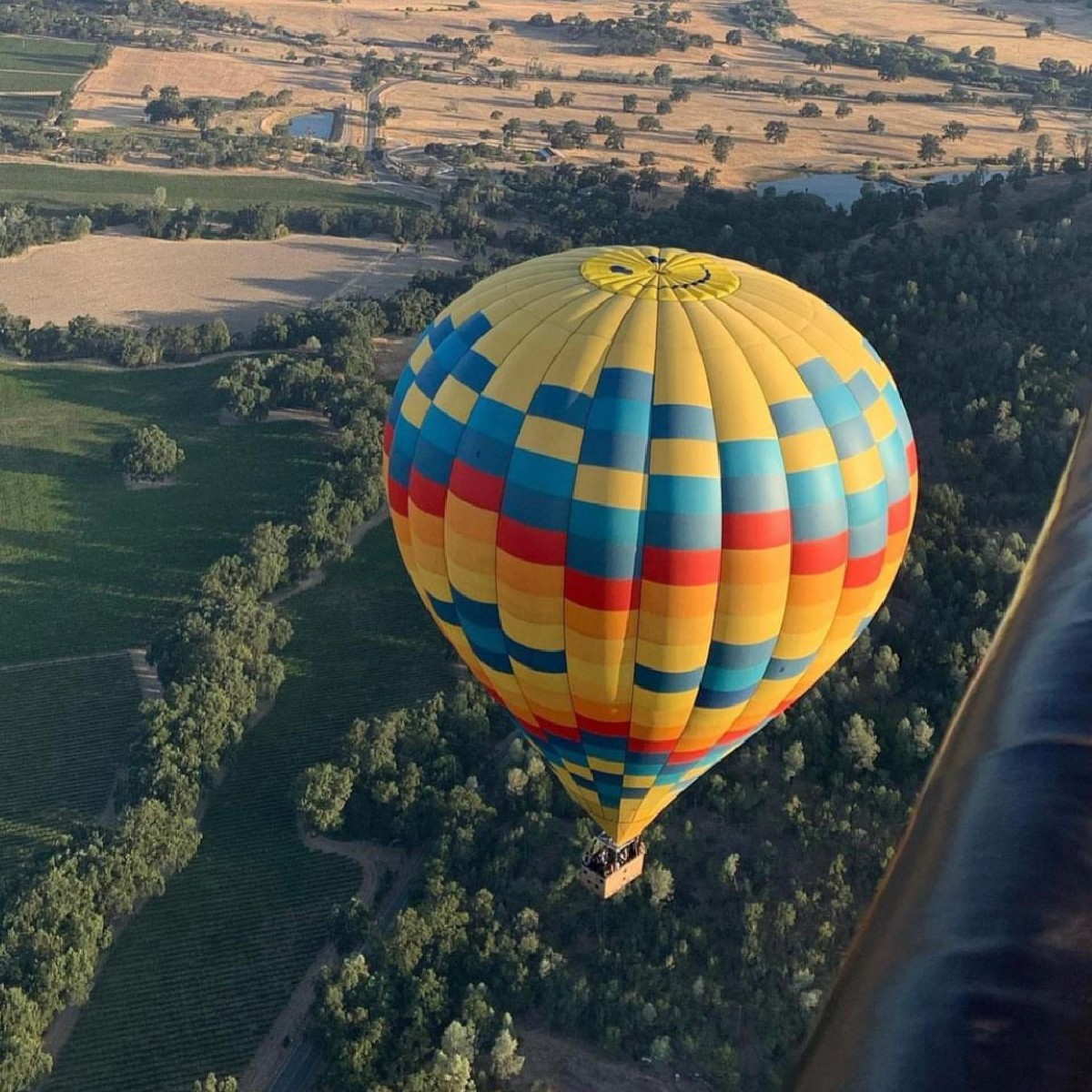 Up-up and away! 🎈Some of the best views of Downtown Napa are on a balloon excursion. The clear skies, puffy clouds and gentle breeze make for perfect conditions for a fall adventure. 
📸: nvvalof
➡️ fal.cn/3sYHO
