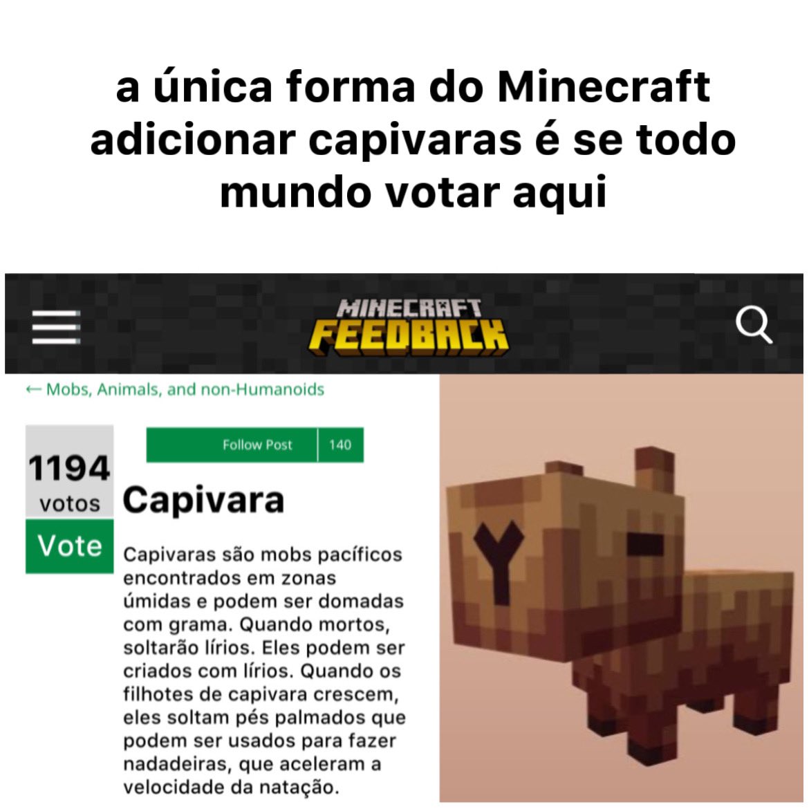 CAPIVARAS LIDERAM A VOTAÇÃO DO MINECRAFT FEEDBACK E PODEM CHEGAR