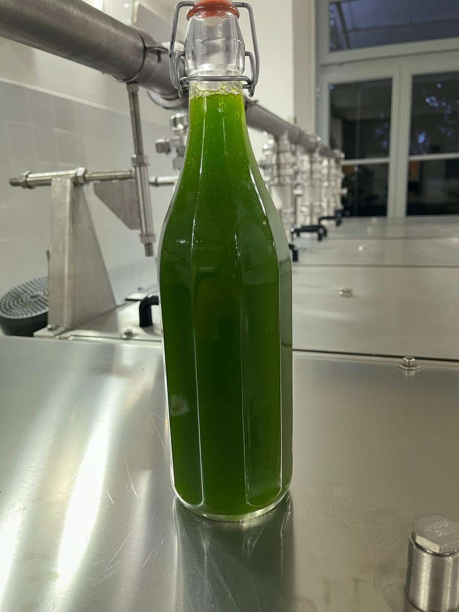 amycatherineart's tweet photo. #meavana #extravirginoliveoil #digitalsanctuary #frantoiolacorte #tuscany https://t.co/nRkKOCK6G5