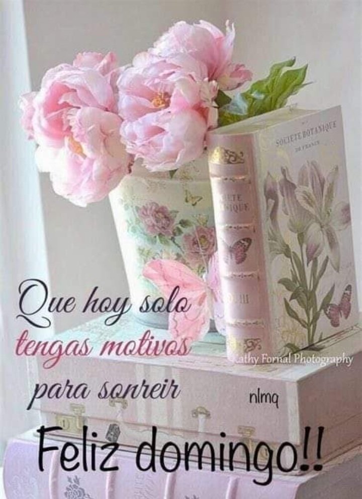 LauritaSB75's tweet photo. 🌸🌸.......🌸🌸......🌸🌸 https://t.co/33J5Gwiova