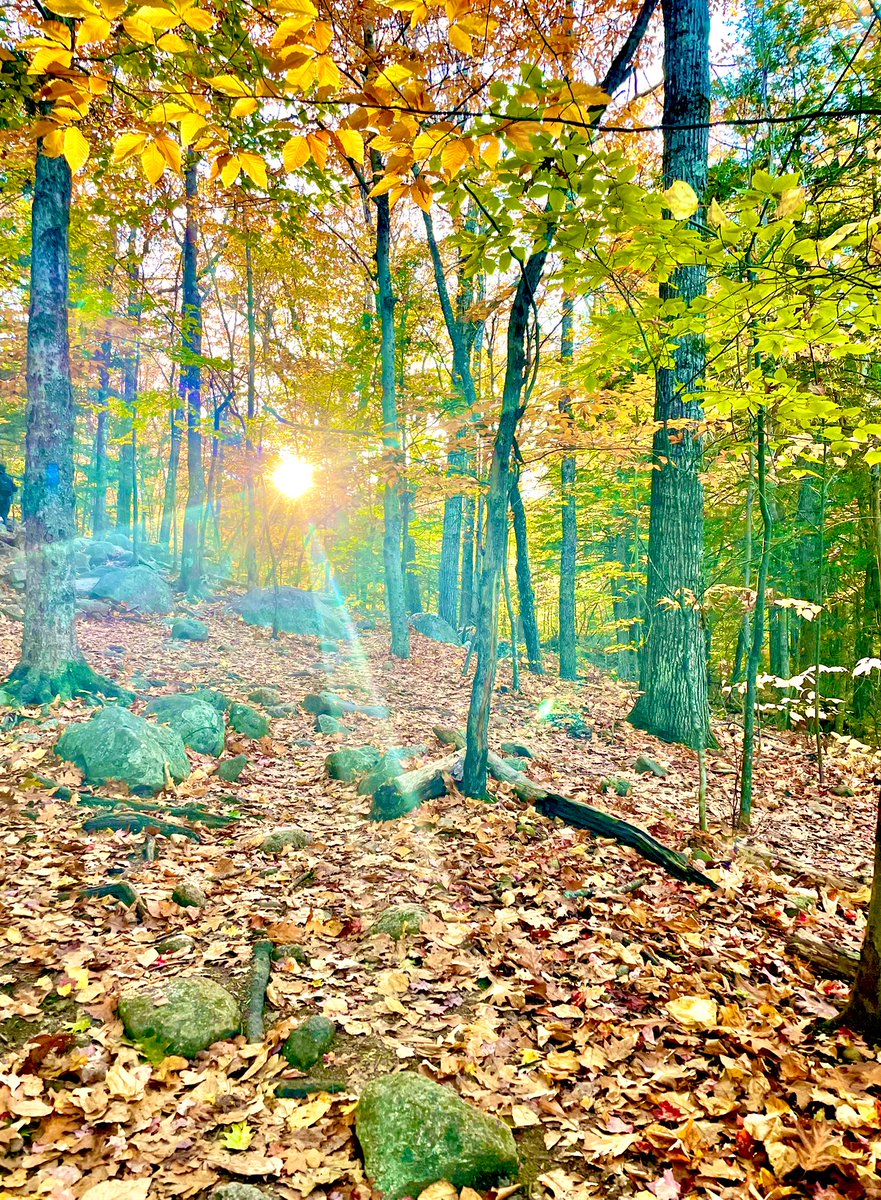4b0ysandaqueen's tweet photo. "I took a walk in the woods and came out taller than trees."
-Henry David Thoreau
On our way to the top of #MountMajor π§‘β°
#NewHampshire #Fall #hikingadventures https://t.co/h4N9BHnmsT