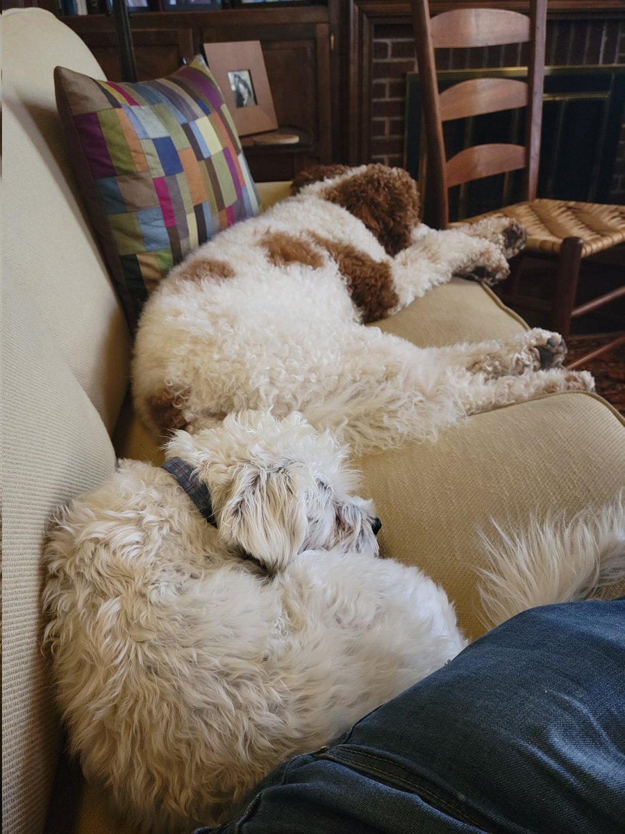 drinkardm's tweet photo. Ready for football!😂🥰 #keepsnoozing https://t.co/lArVnU8RWm