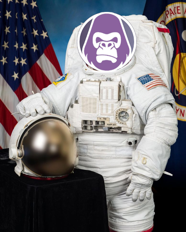 part 3/3

Prepare yourself for the BIG #BURN on Friday 28th #Gorillas!! LFG !!! 🦍🦍🦍

#gorilla_inu #eth #harambe #apesnotleaving