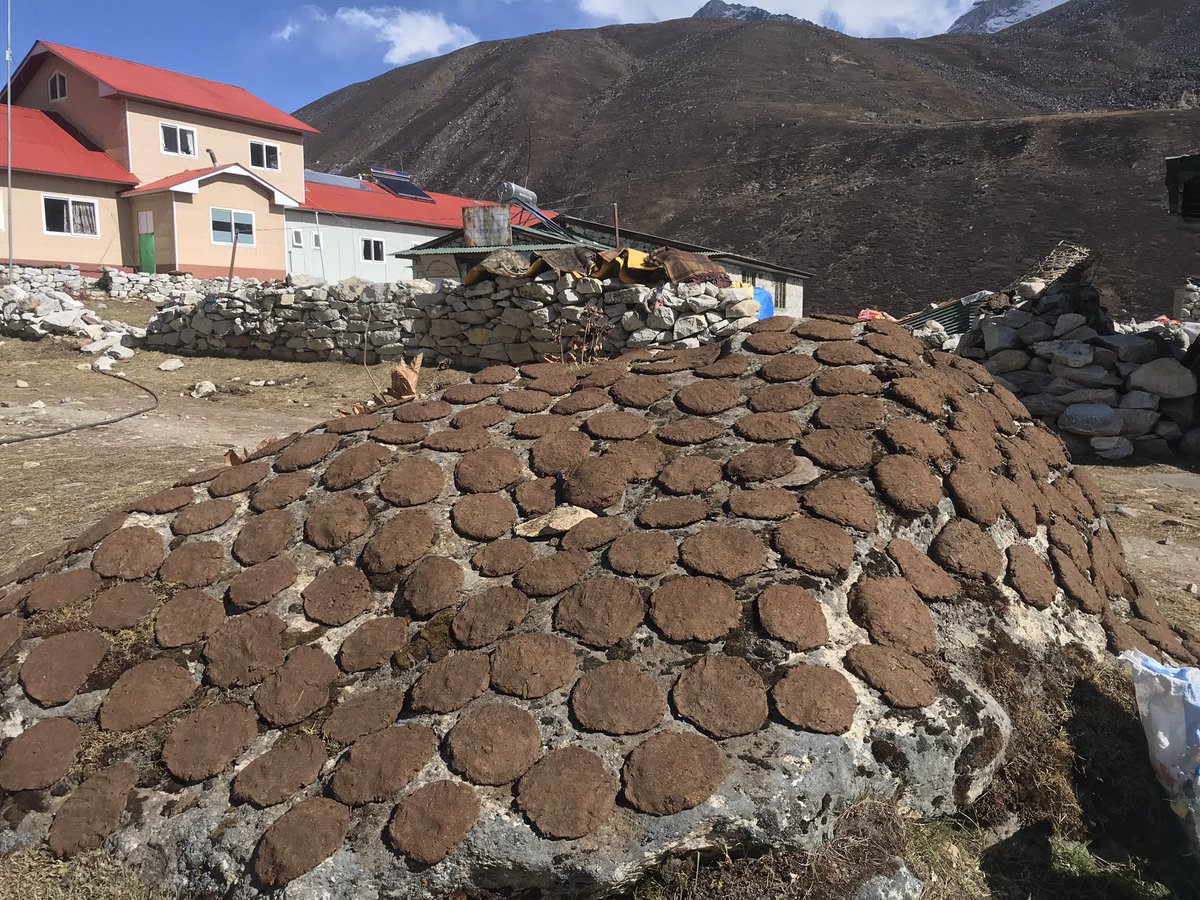 mark1_ward's tweet photo. Living history in Nepal - yak dung mixed with hay drying out in the sun to fuel stoves for home heating https://t.co/mwDgRaduxU
