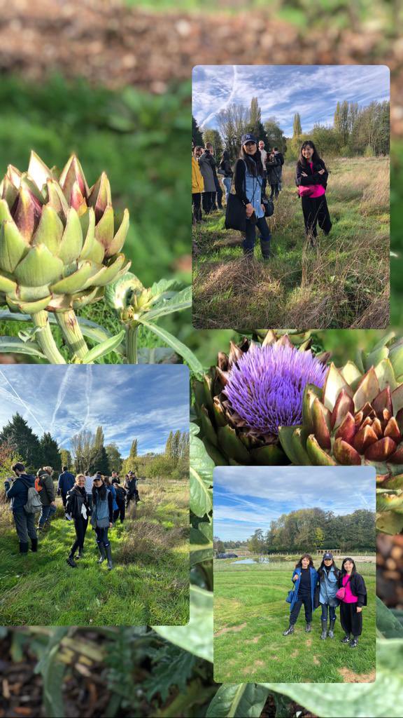 HaziotMery's tweet photo. Cryptobees Guerlain,NFT for Good, NFT for real. Four @NFTFactoryParis cofounders 
lived the experience associated with NFTs; not just a walk, a discovery of reconstruction of the reserve de la Milliere intended for bees rebirth,permaculture, punk garden.. https://t.co/0ivnBRly31