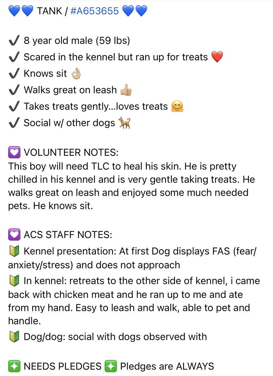 BearyHappy04's tweet photo. ‼️TANK (653655) NEEDS YOU‼️
Pls Retweet & pledge if you can to help find his rescue or FOSTER/ADOPTION HERO 🆘🙏🐾
Video & more notes/📸 above👆
#Dogsoftwitter #animals #USA #Texas #Houston https://t.co/vkNgmtCZdU