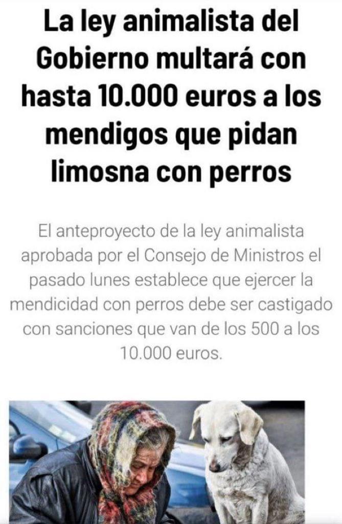 O sea que a una persona que se vea en la lamentable situación de pedir, y puesto que aún le queda como compañía en su triste vida un perro, hay que multarlos para hundir más esa miserable vida. ¿Y se puede saber quién va a pagar la multa? ¿creen que les importará que les multen?