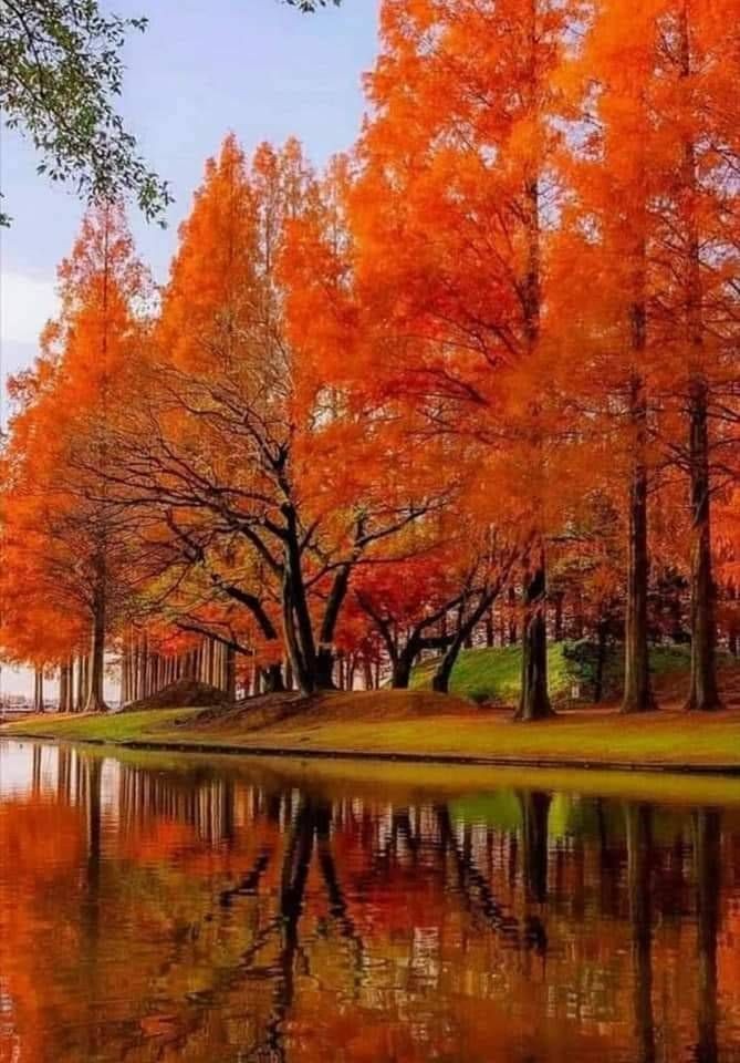 ChrisGem65's tweet photo. @NorthernLaces @CheapSeats411 @Hockeygirl3784 @AddictSox @ganjaganggirl @bampac29 @Bassplayer_2k @Cubbi3Gyrl @BaaBaaBlck1 @Kristen_MarieNY @KristyKelly013 @stephk83 @sissy180 @cubsgirl12 @ThPatriots @nysportsfan2015 @Ashley_Dyane @nycoffeequeen @FLCUBSFAN45 @cboyd304 @PapaDino6 Have a great Sunday Tommy and everyone 🍂🍁🌟🤗😘 #AutumnSunday https://t.co/LSoFcLxfzi