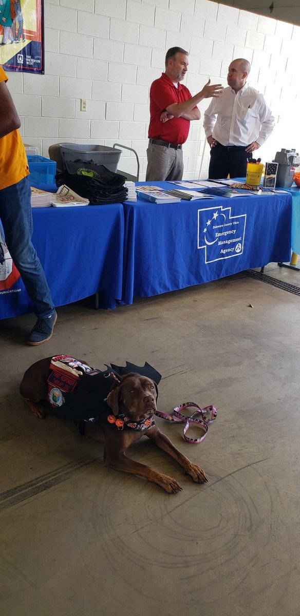 Come see me an my frens Berlin Township Fyre Depawmunt fur da open howse until 3pm

<a href="/DelCoEMA/">Delaware Co. Emergency Management</a> <a href="/DelawareCoOhio/">Delaware County, Ohio</a> <a href="/DelCoProud/">DelCoProud ☮️</a> @visitdelawareOH