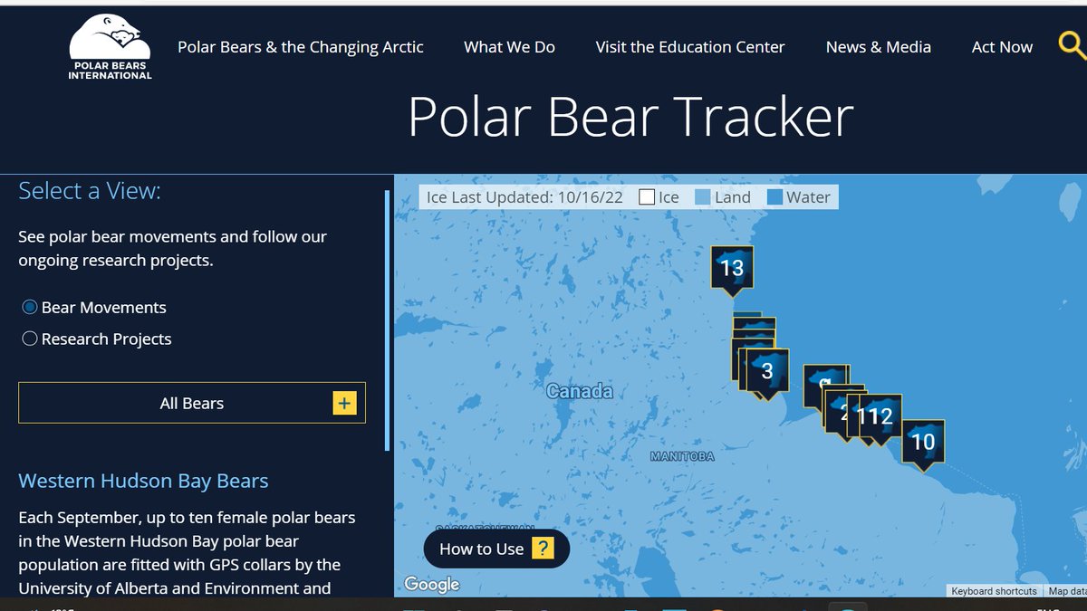 UsGeography's tweet photo. Teaching a unit on the Tundra? This is a great polar bear tracker site. Choose a bear to track or follow them all. Engaging for students, helps to introduce ideas of conservation or impact of climate change on environment.
https://t.co/WJwU3KZlOn
#geographyteacher #gcsegeography https://t.co/n1gIVLyKTJ