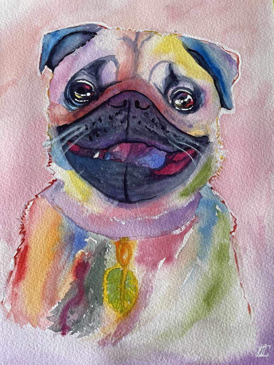 DianaCotoArt's tweet photo. Beautiful pug model #art #artist #artwork #dog #dogart #pet #petportrait #pug #pugpotrait #watercolor #watercolorpainting #acuarela #ArtistOnTwitter https://t.co/LE0it2VlTN