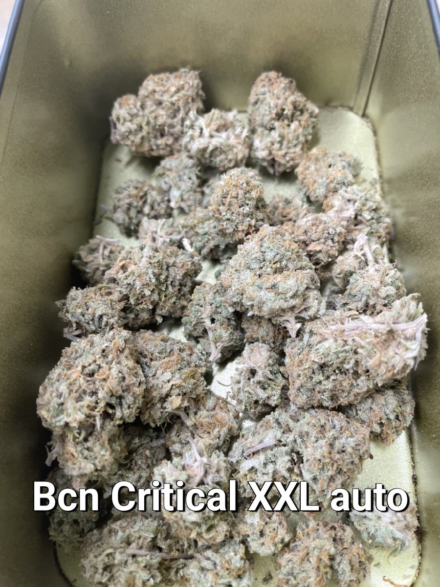 CCT MisterThree tweet media