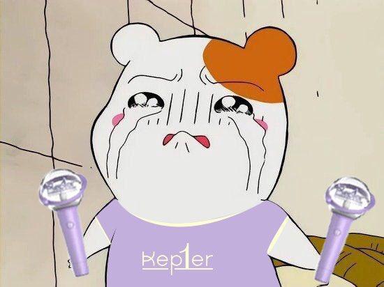 bahifeels's tweet photo. motivos pelos quais o kep1er não faz sucesso na coreia/público geral - a thread

CHANGE KEP1ER'S COMPANY
 #FreeKep1erFromWakeone #FreeKep1er https://t.co/RkiV6z20FB