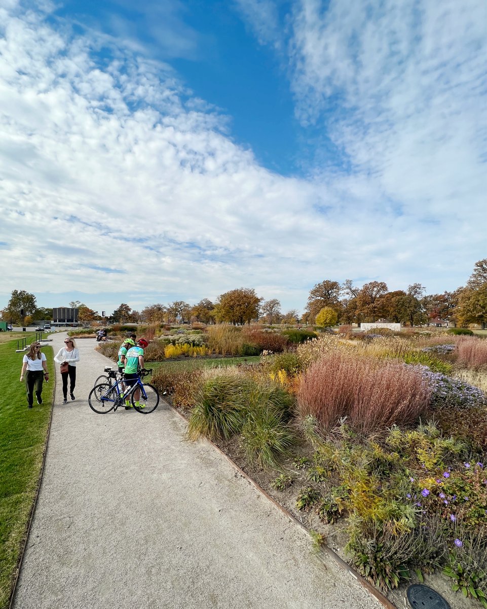 DetroitBus's tweet image. Is this the last nice warm day in Detroit for the rest of the year??  NOBODY KNOWS!

But one thing is for certain: we are out here living it up today. Go hit your nearest park and soak this up while it lasts. 👉☀️