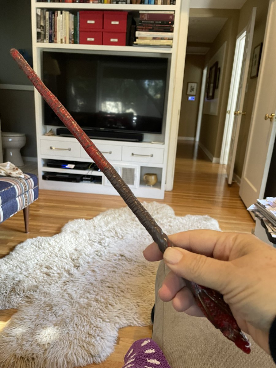 Dr Deborah Harkness (PhD, LHD) tweet media