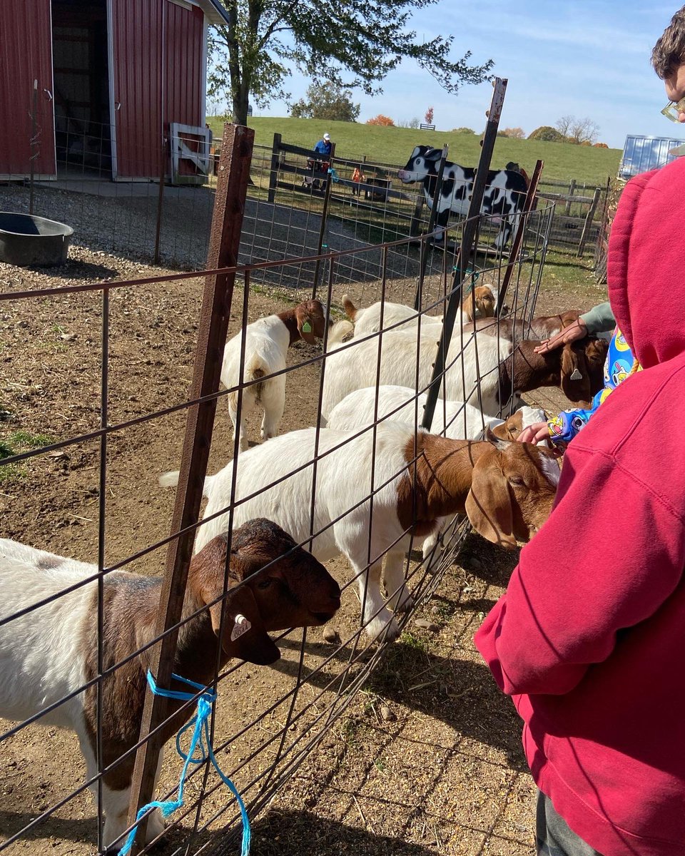 whitehousewow's tweet photo. Just another adventure!🎃

#ohiopumpkinfarm #fallohio #kingsway #halloweenactivities #dayprogram #outing #ohiohiring #applyohio #directcareprofessional #akronhiring https://t.co/OplRIugURP