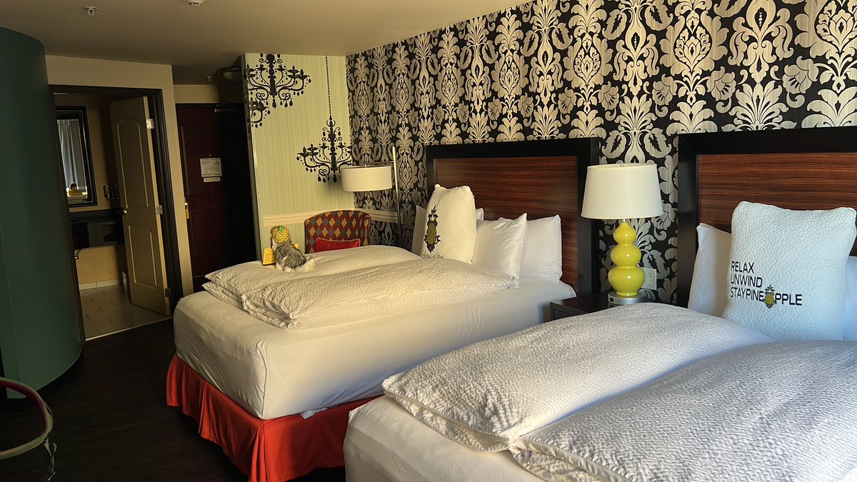 isatrava's tweet image. My stay at @Staypineapple in Seattle was superb. 5 nights in perfect comfort. #themaxwellhotel