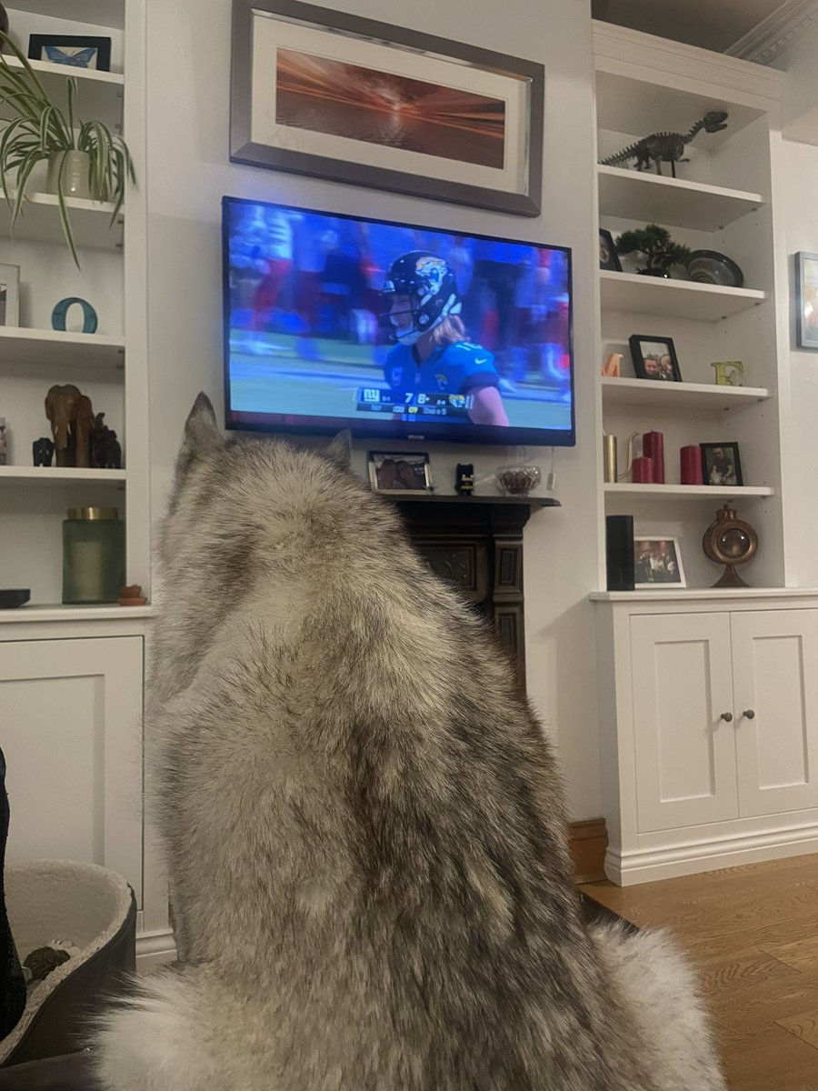 TheGolfLine's tweet photo. Skye enjoying Trevor Lawrence and the #Jaguars #GOJAGS https://t.co/kMqeC7vIuy