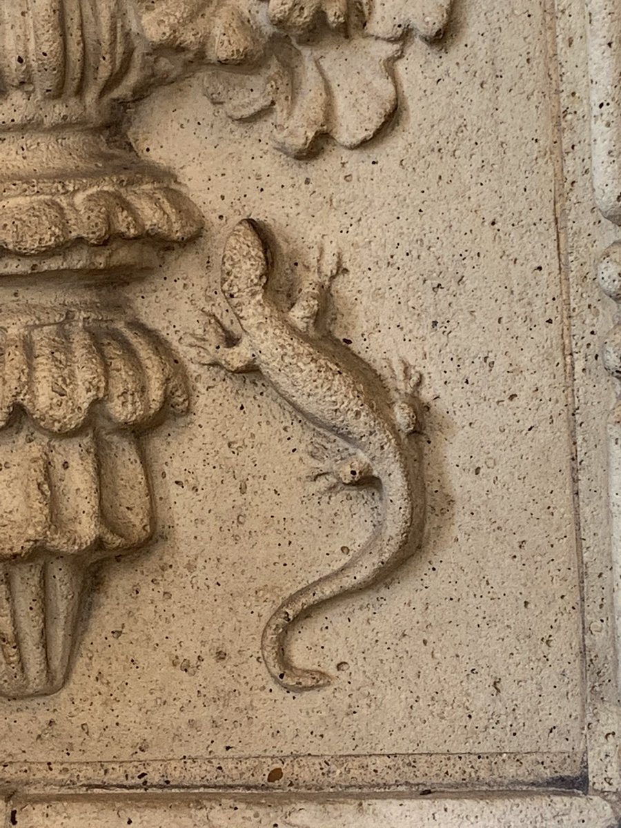 Back from Mahler 8 at the Royal Albert Hall, which was packed out this afternoon. No pic of the auditorium, but I rather liked this little lizard I spotted…