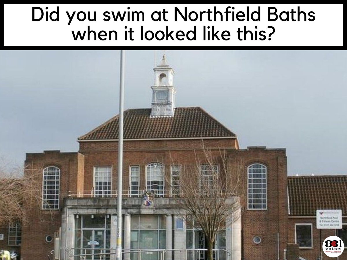 B31 Voices tweet media