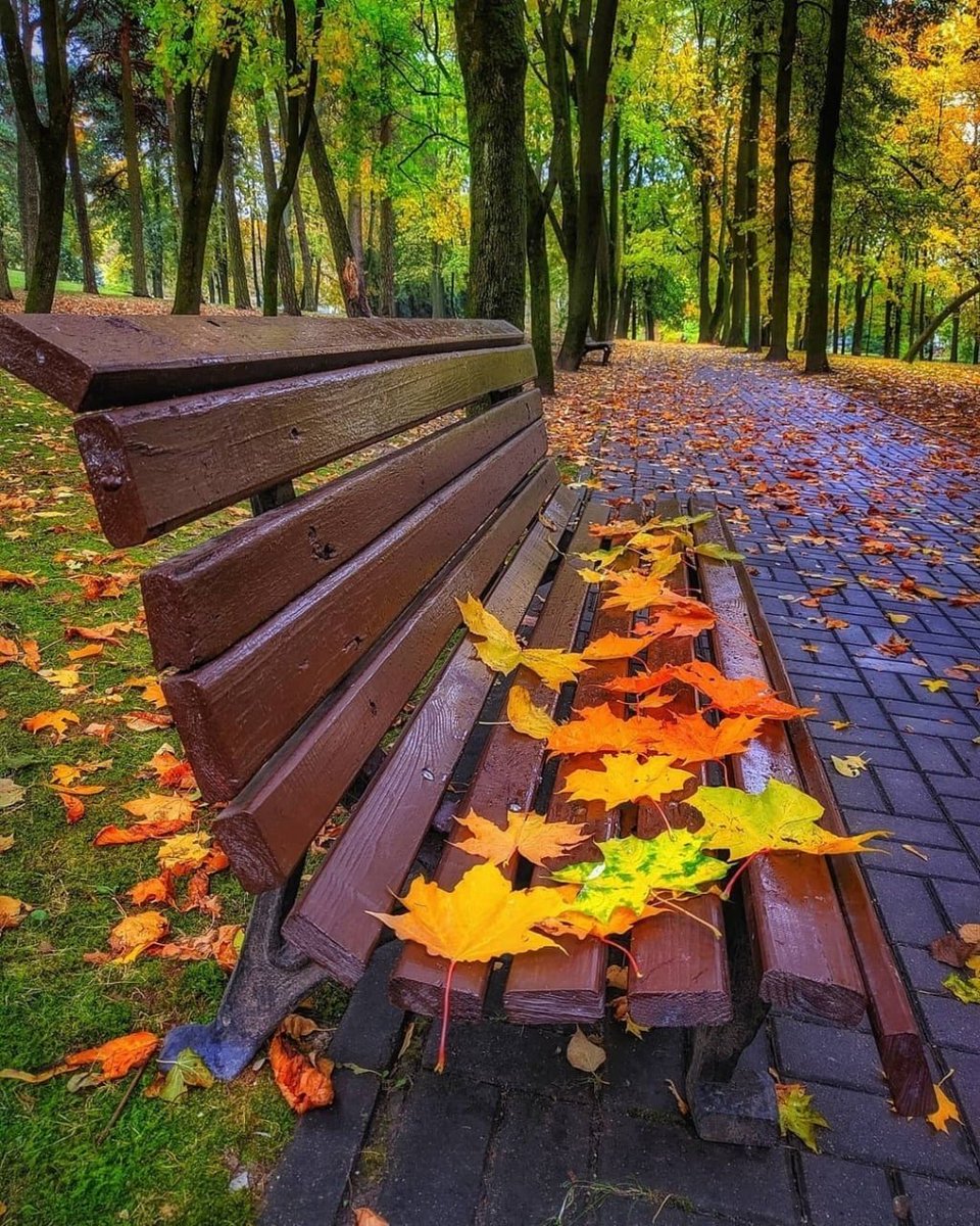 🍁
Morning and Monday 🙂

#Autumn  #MondayMotivation