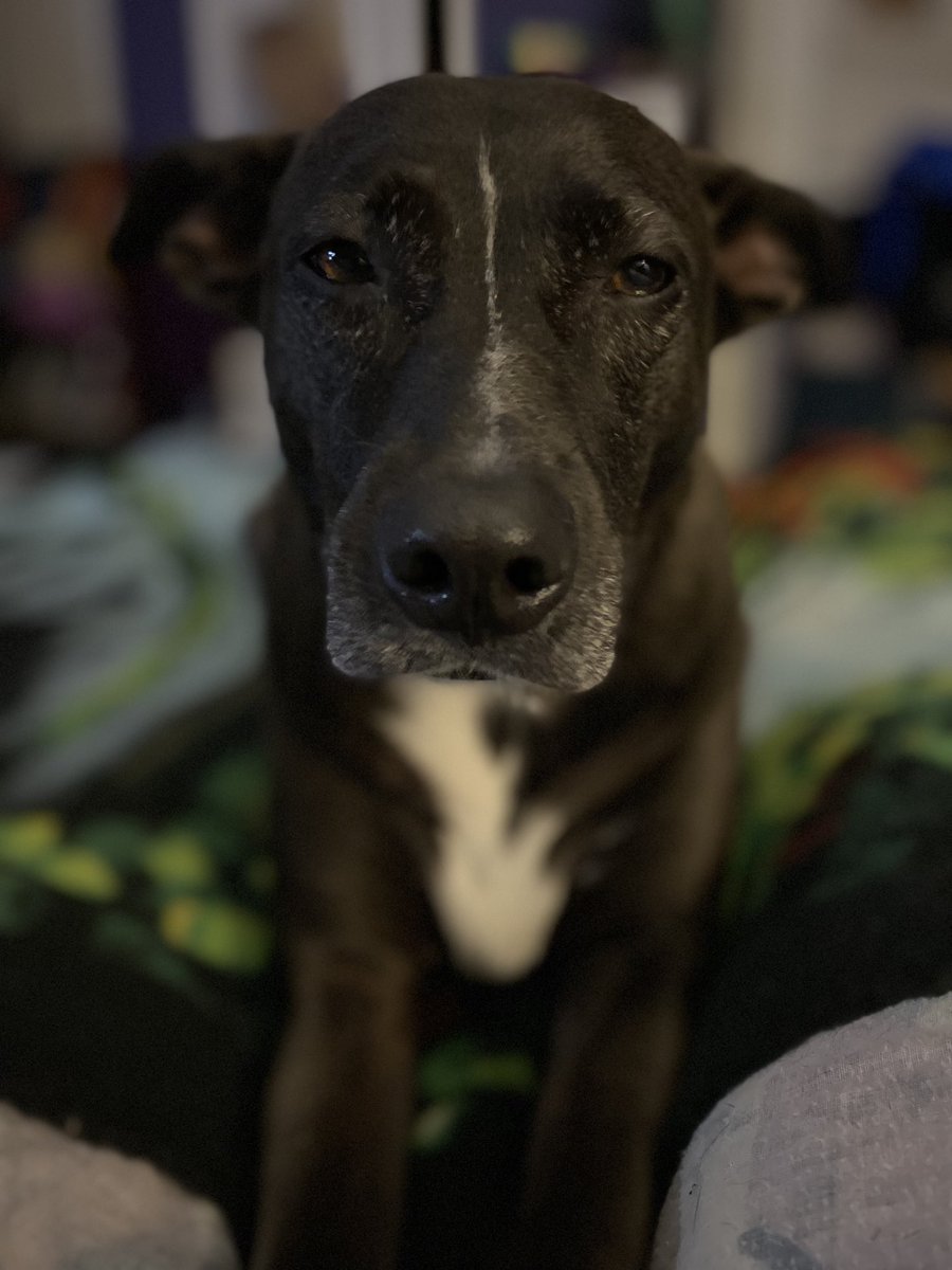 Chris Tanner tweet media