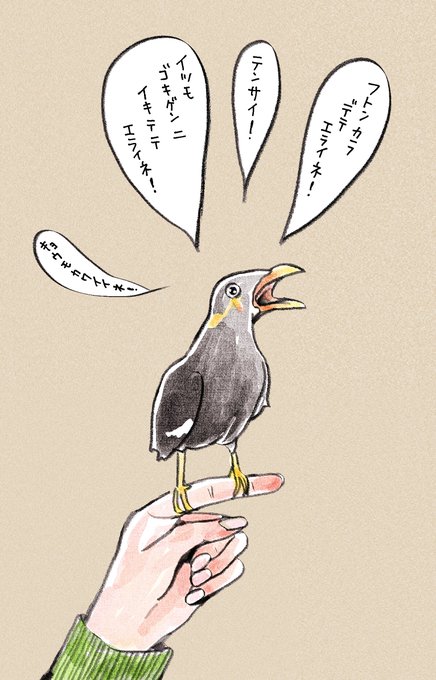 九官鳥のtwitterイラスト検索結果