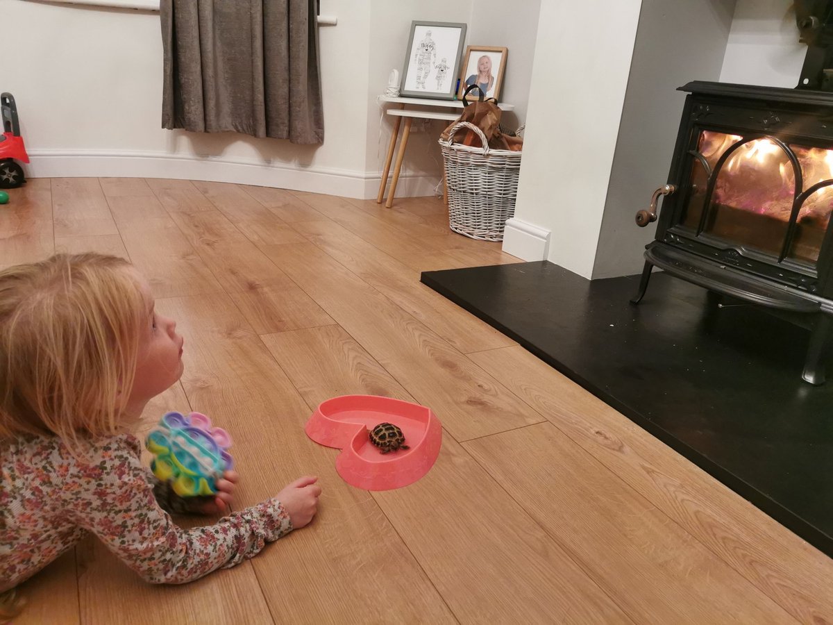 @TrumacarPrimary Sheldon's enjoying his half term so far with Lara 🐢❤️ He's had a little play followed by lovely bath chilling by the fire before bed 🤣