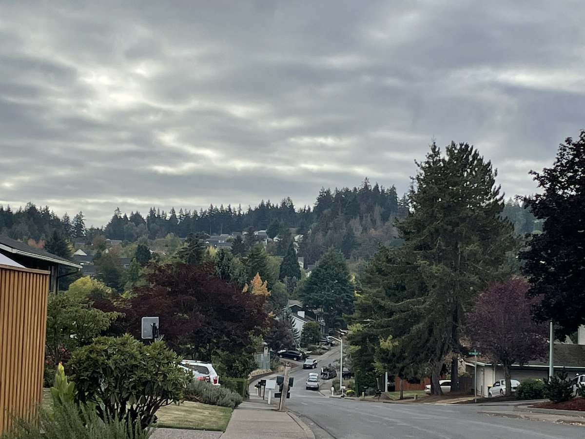 Sunday runday. Views in the neighborhood.