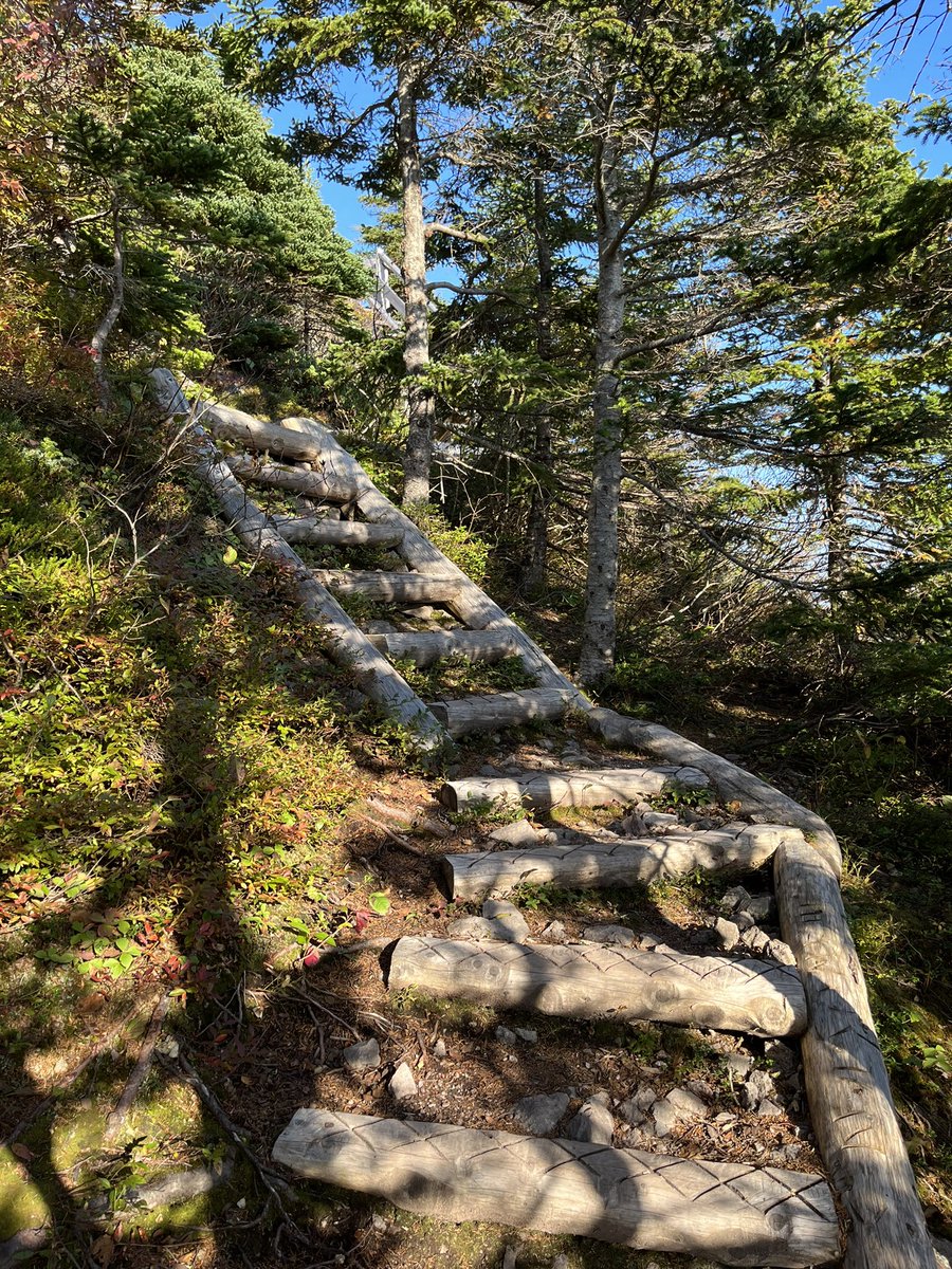 dawn_kimmy_nl's tweet photo. I made it to the top of the hill! It’s windy today but it’s like 20 degrees so it’s very nice! 🌞 @EastCoastTrail
#yyt #hiking #eastcoast #explorenl #fakk #weekendvibes https://t.co/jHY8TVwReV
