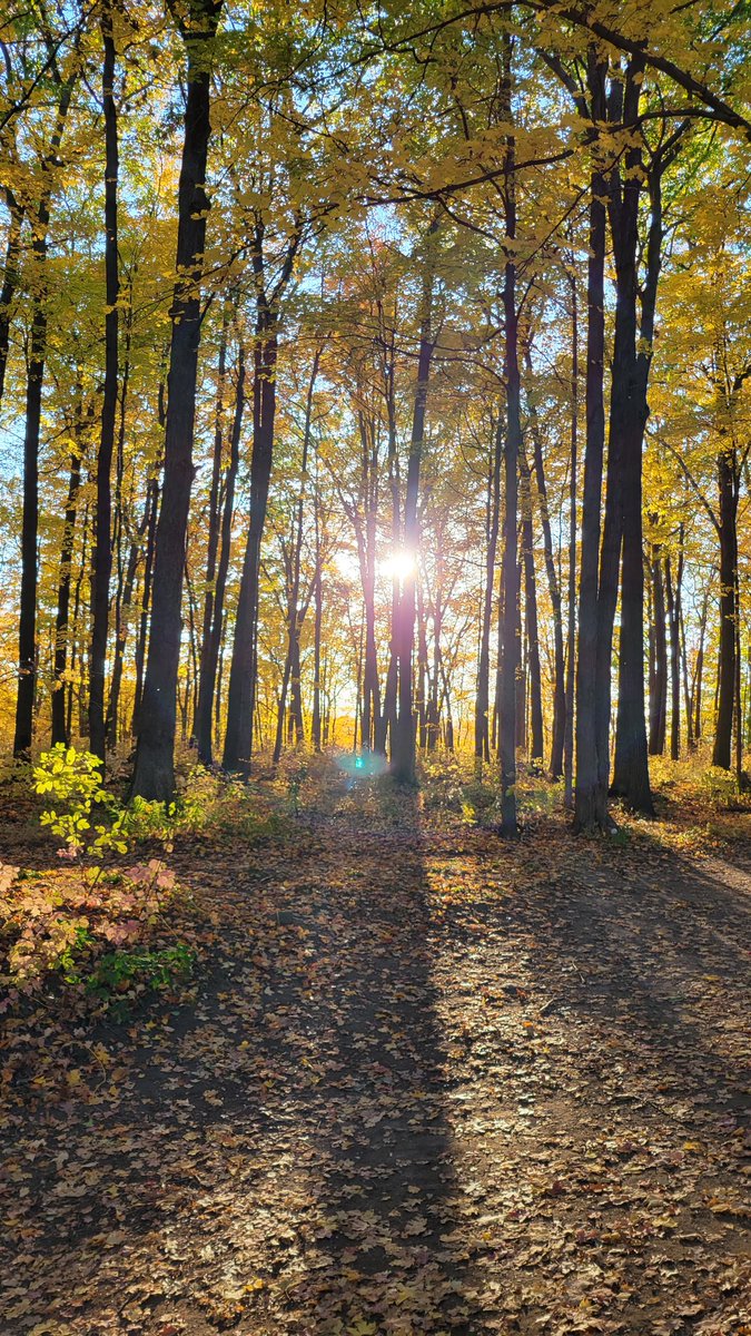 PRproToronto's tweet photo. Hiking the Rouge. @RougePark https://t.co/jvWhSIdZ9o