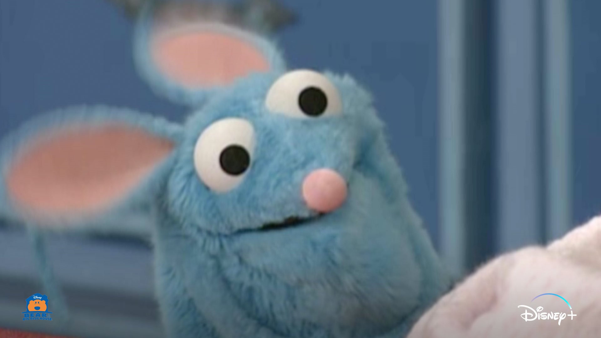 Bear inthe big sale blue house mouse